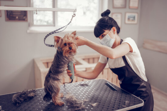 grooming essentials