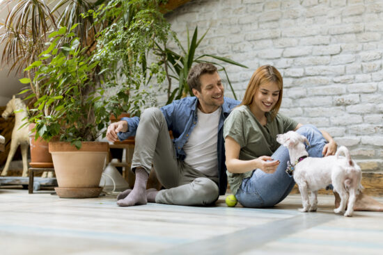 Pet-Friendly Home Tips