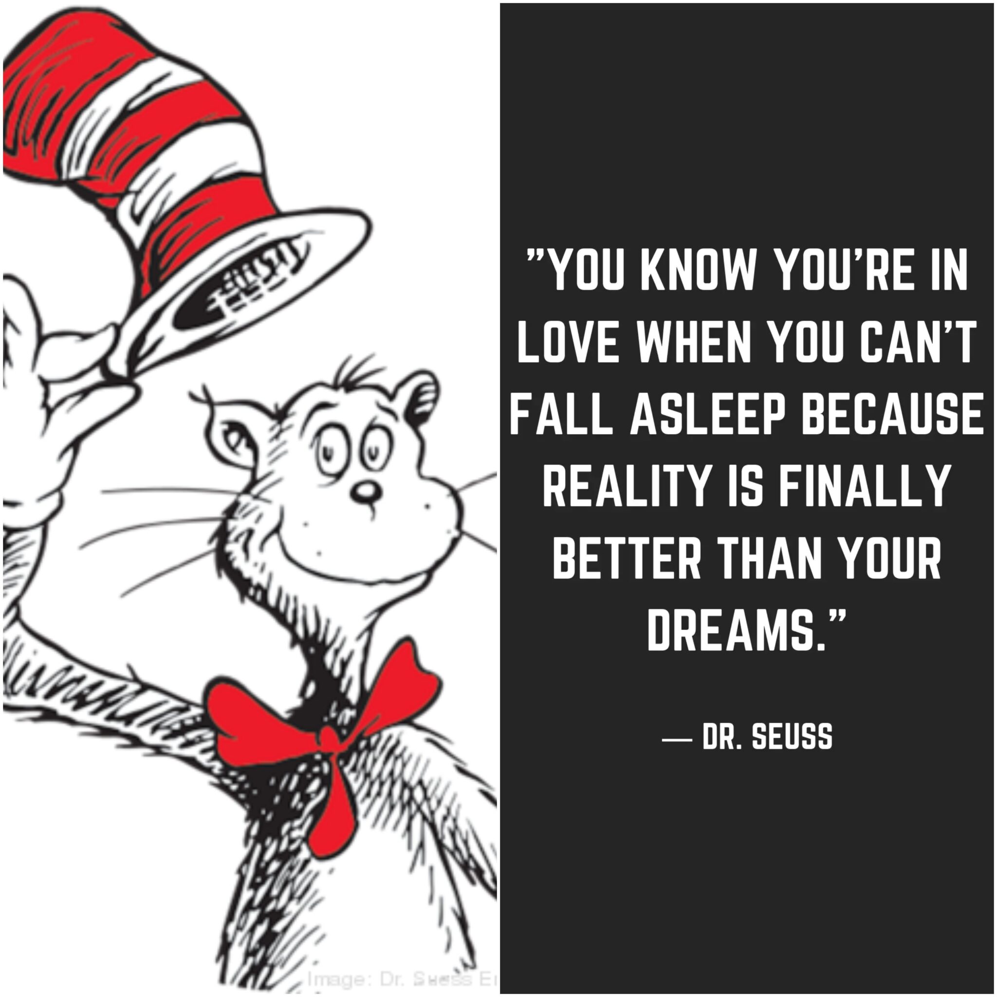 Top 50 Dr Seuss Break up Lines: Perfect for Parting Ways