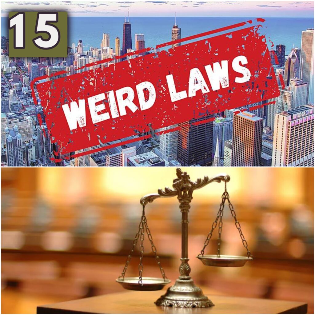 Most Bizarre Laws 