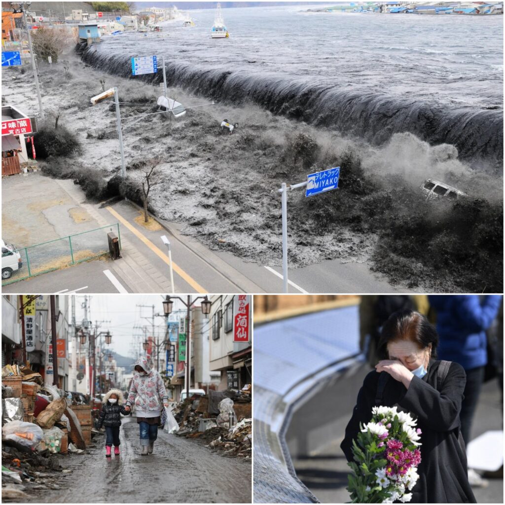 facts about the Japan tsunami