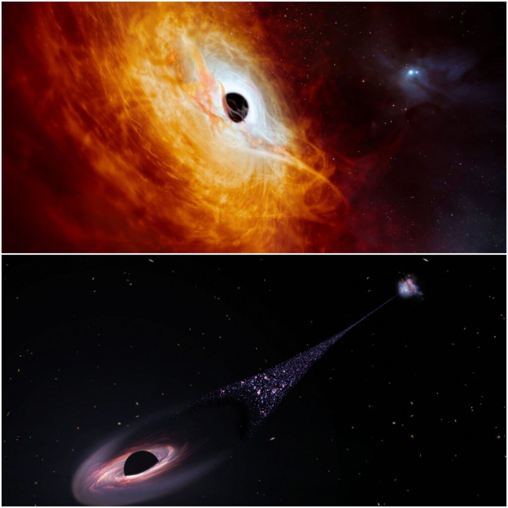 The formation of black holes occurs from the dramatic death of massive stars, a process revealing startling facts about black holes.