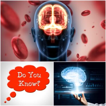 What Are Some Facts About Human Brain Cells?