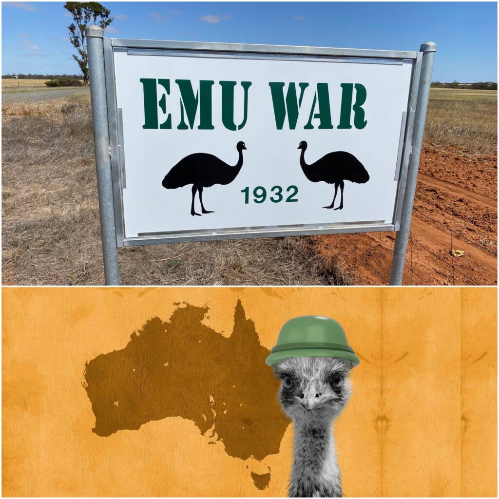 Interesting fact about the Emu War