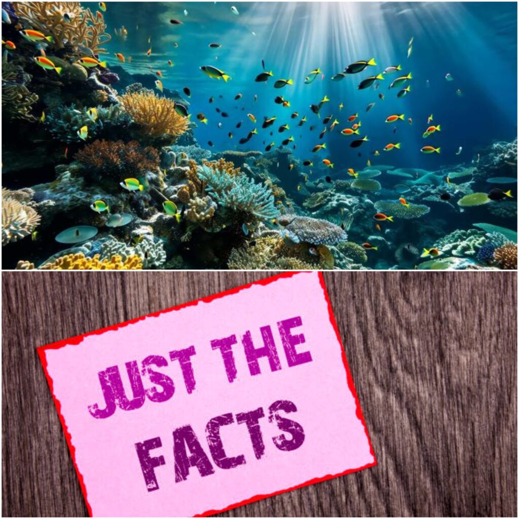 facts about deep-sea creatures