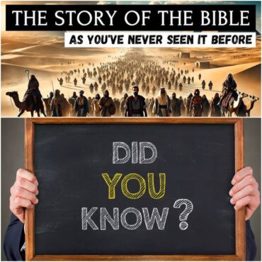 Facts About the Bible History Everyone Should Learn