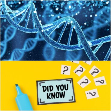 Facts About DNA That Could Rewrite Your Family History