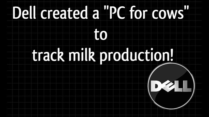 Facts About Dell Company